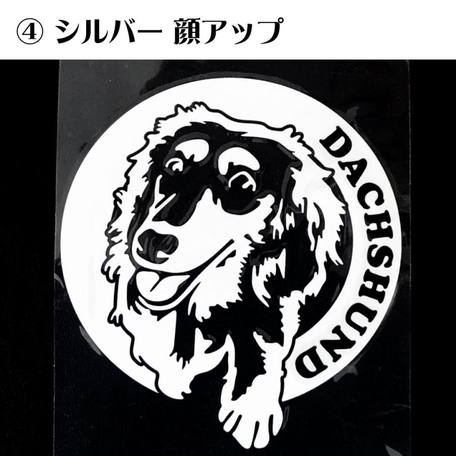 車 犬 ダックスフンド ミニチュアダックスフンド ステッカー おしゃれ