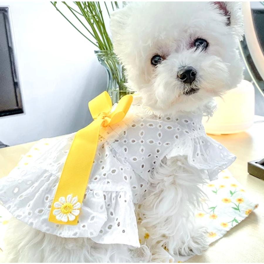 犬 服 ワンピース おしゃれ かわいい フリル 夏服 夏用 夏物 花 花柄