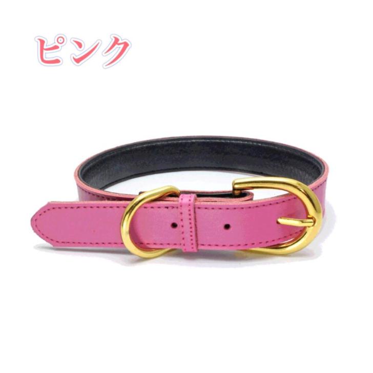 犬 首輪 リード セット 本革 犬首輪 おしゃれ XS S M 小型犬 中型犬