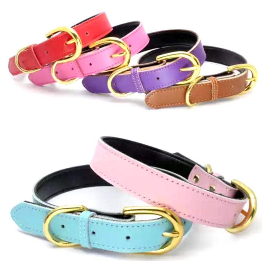 犬 首輪 本革 犬首輪 おしゃれ XS S M 小型犬 中型犬 高級 かわいい 犬
