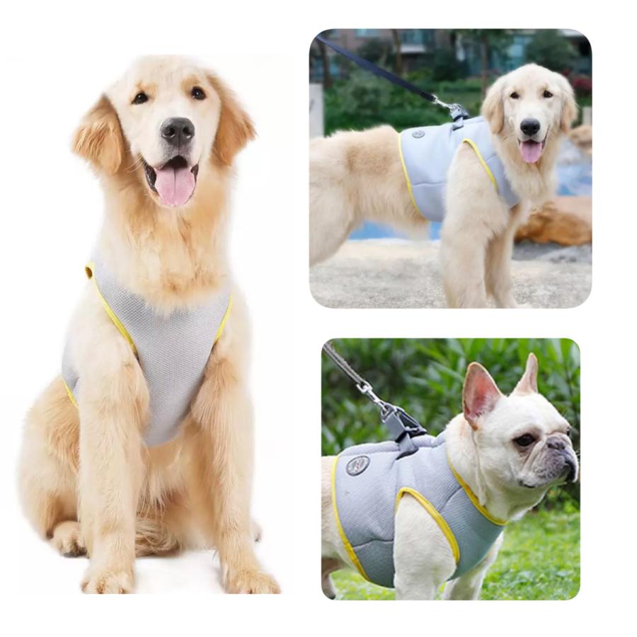 最新アイテム 熱中症対策 犬用 ハーネス ベスト 夏 冷感 冷却 保冷 冷たい 涼しい 犬 3lサイズ 2xl 大型犬 おしゃれ メッシュ ゴールデン ラブラドゥードル Cisama Sc Gov Br