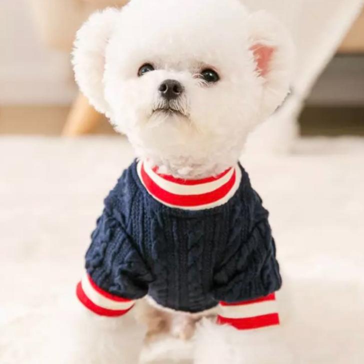 犬 服 犬服 おしゃれ かわいい ニット セーター ストライプ 小型犬 犬