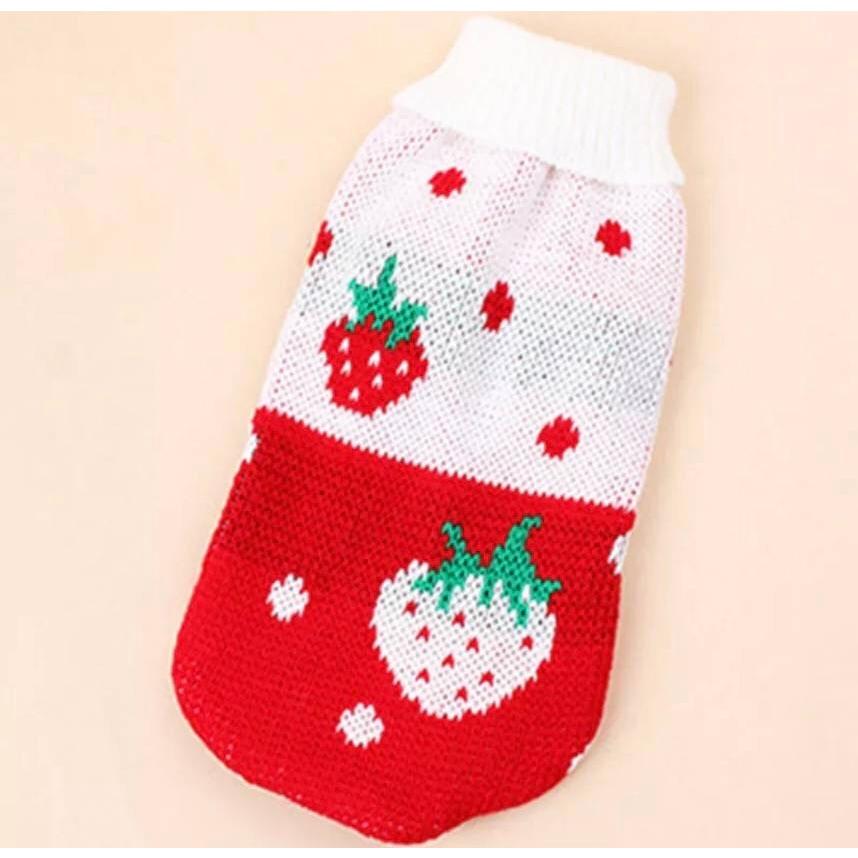 犬 服 犬服 おしゃれ ニット セーター いちご イチゴ 苺 小型犬