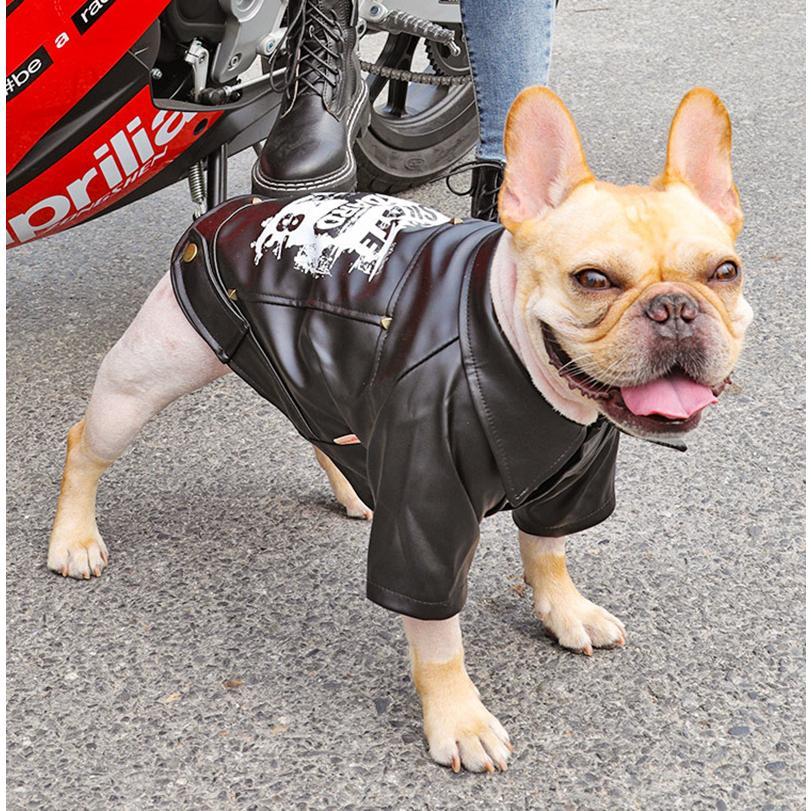 特別プライス 犬用革ジャン ジャケットLサイズ - 通販 - www 特別プライス 犬用革ジャン ジャケットLサイズ - 通販 - www