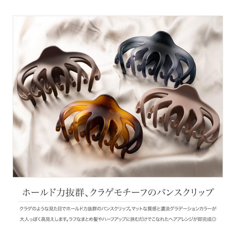 クラネ ヘアクリップ Clane コラボ 10th ALEXANDRE DE PARIS for CLANE