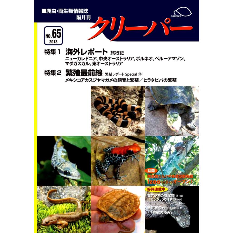 クリーパー65号 Creeper65 クリーパー社 通販 Yahoo ショッピング