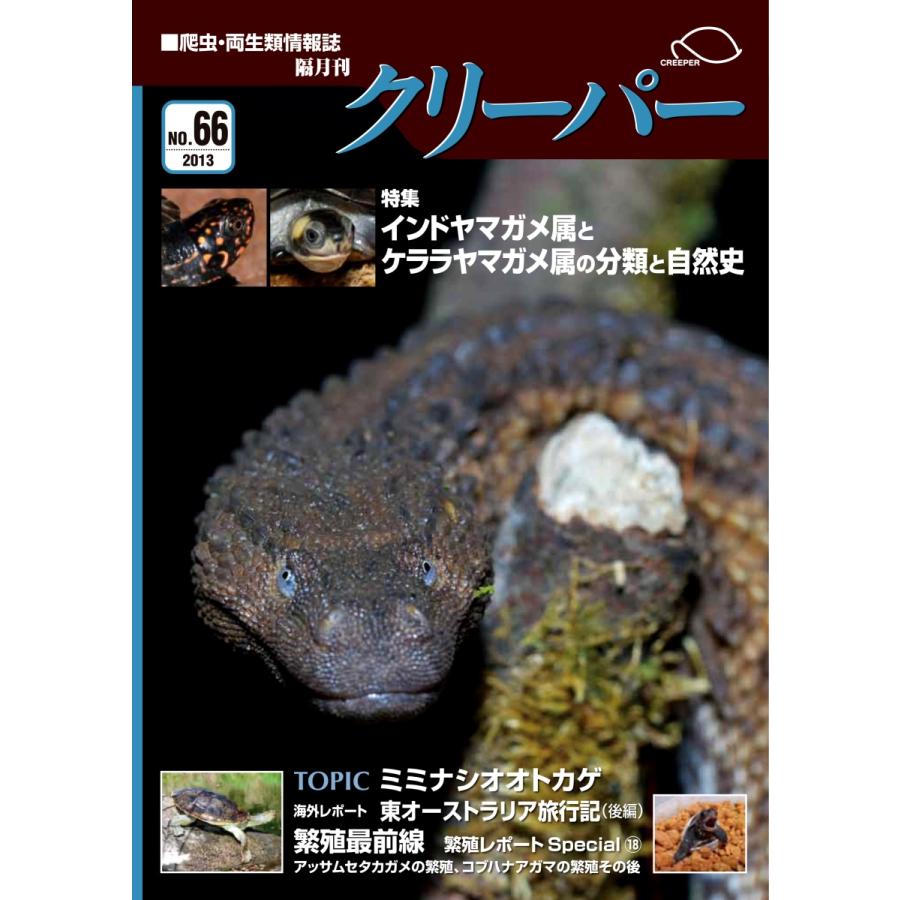 クリーパー66号 : クリーパー社 - 通販 - Yahoo!ショッピング