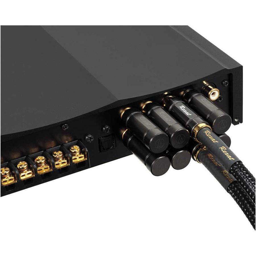 オーディオテクニカ（audio-technica） AT-RXP06 ノイズコントロール