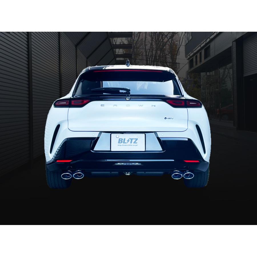 ～鴉～出品 BLITZ ブリッツ NUR-SPEC CUSTOM EDITION VS 63588 クラウン