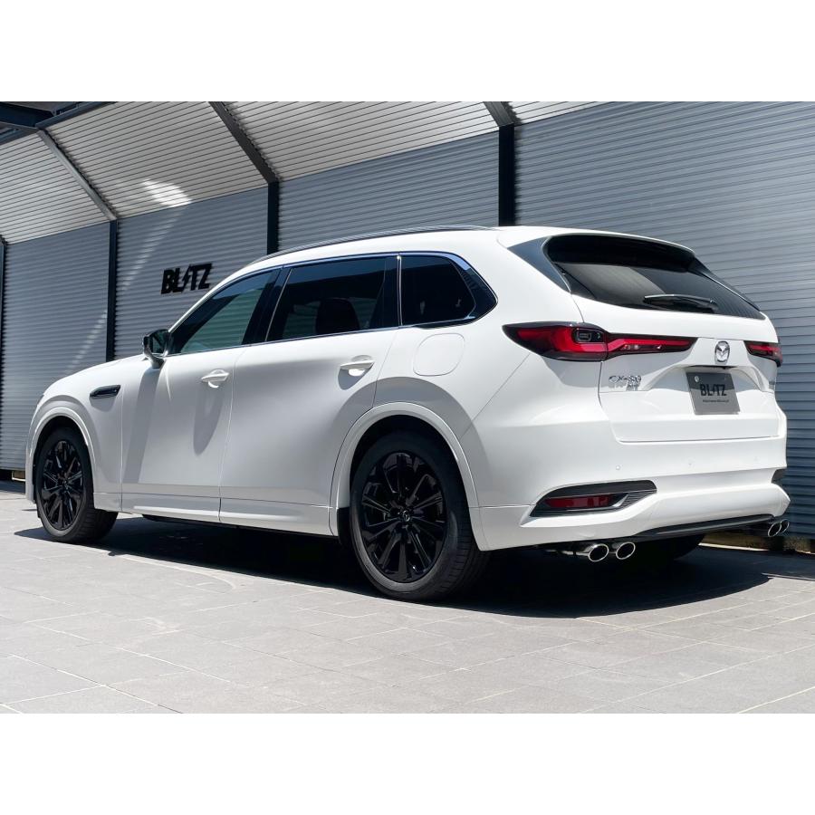 BLITZ（ブリッツ） マフラー 63589 NUR-SPEC CUSTOM EDITION VS CX-80