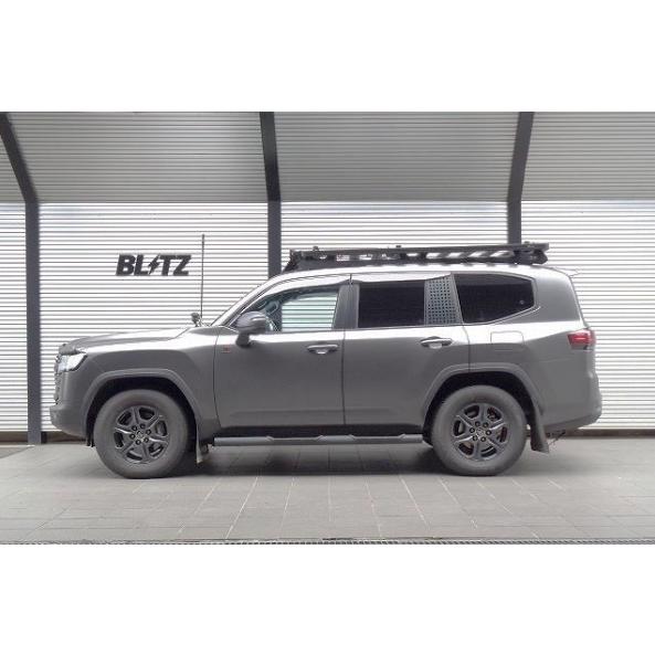 BLITZ（ブリッツ） 【最高クラスの保証制度】 BLITZ 98656 DAMPER ZZ-R