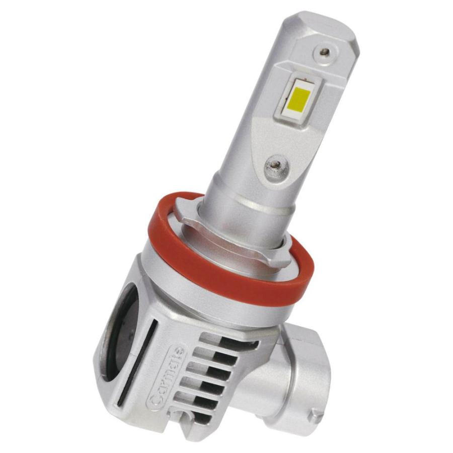 専用　バルク　500g カーメイト BW573 GIGA LEDヘッド&フォグバルブ C5500 シリーズ