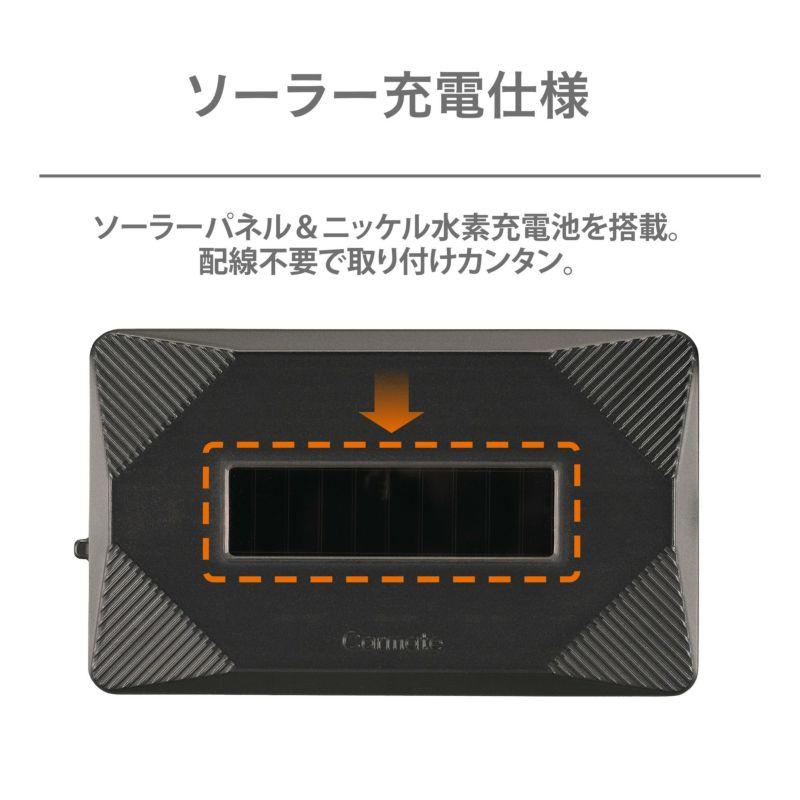 カーク・レイナート「マジェスティック・ナイト」 カークレーナート マジェスティックナイト（シバクローム）