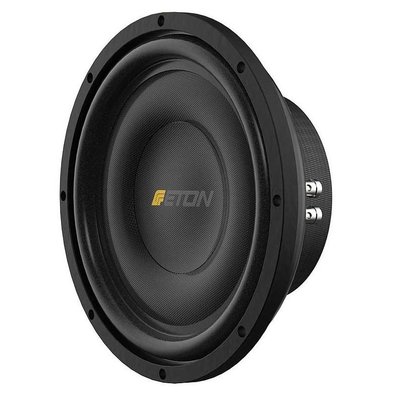 イートン M-10 25cm 2Ω DVCフラットサブウーファー 超薄型ユニット