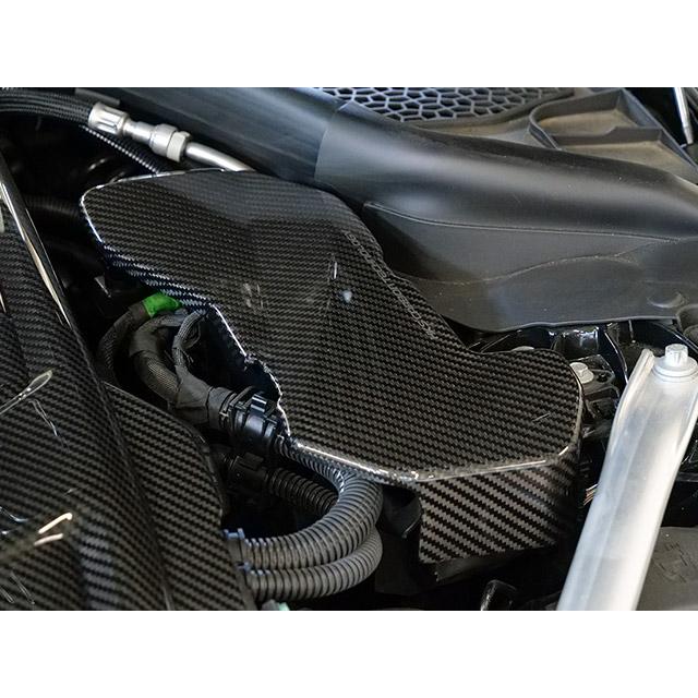 HKS（エッチケーエス） カーボン製ECUカバー 70026-AT017 GRスープラ