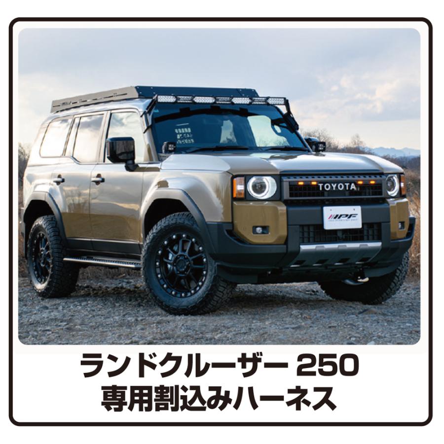 IPF IPF EXLC2-02 / EXLC2-02W 用 割り込み ハーネス FD-008