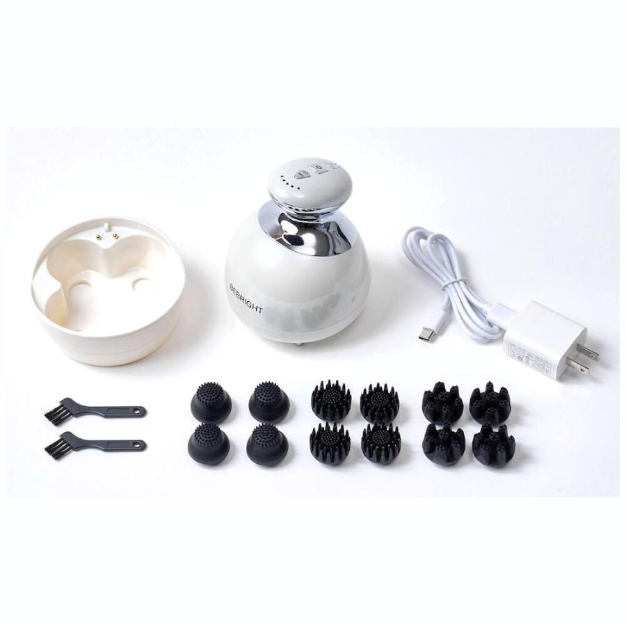 EMS 電動 ヘッドスパ 電動頭皮ブラシ 電気針 赤LED 青LED イオン