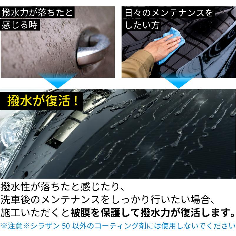 Zeus clear 日本ライティング ゼウスクリア シラザン50 専用 スプレー