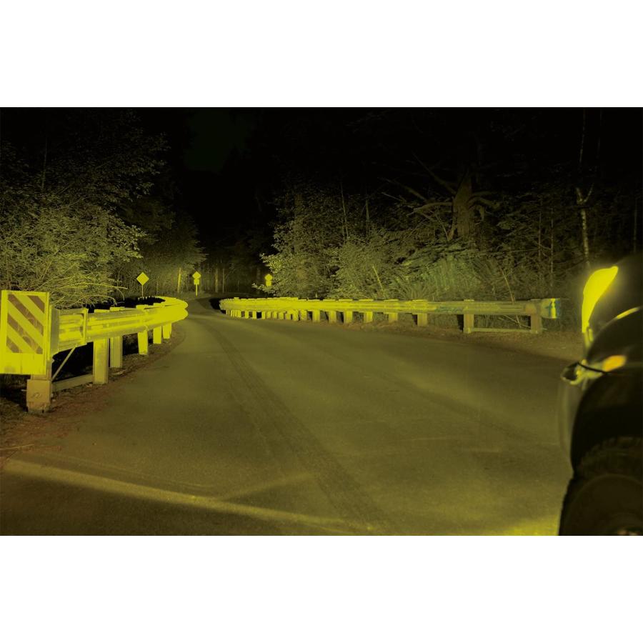 PIAA ヘッド/フォグライト用ハロゲンバルブ ソーラーイエロー H16 19W