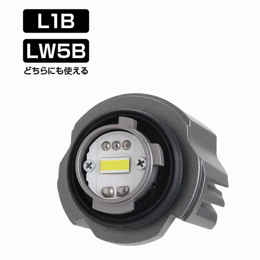 PIAA PIAA LEF501 純正 LED フォグライト用 バルブ L1B LW5B 純白光