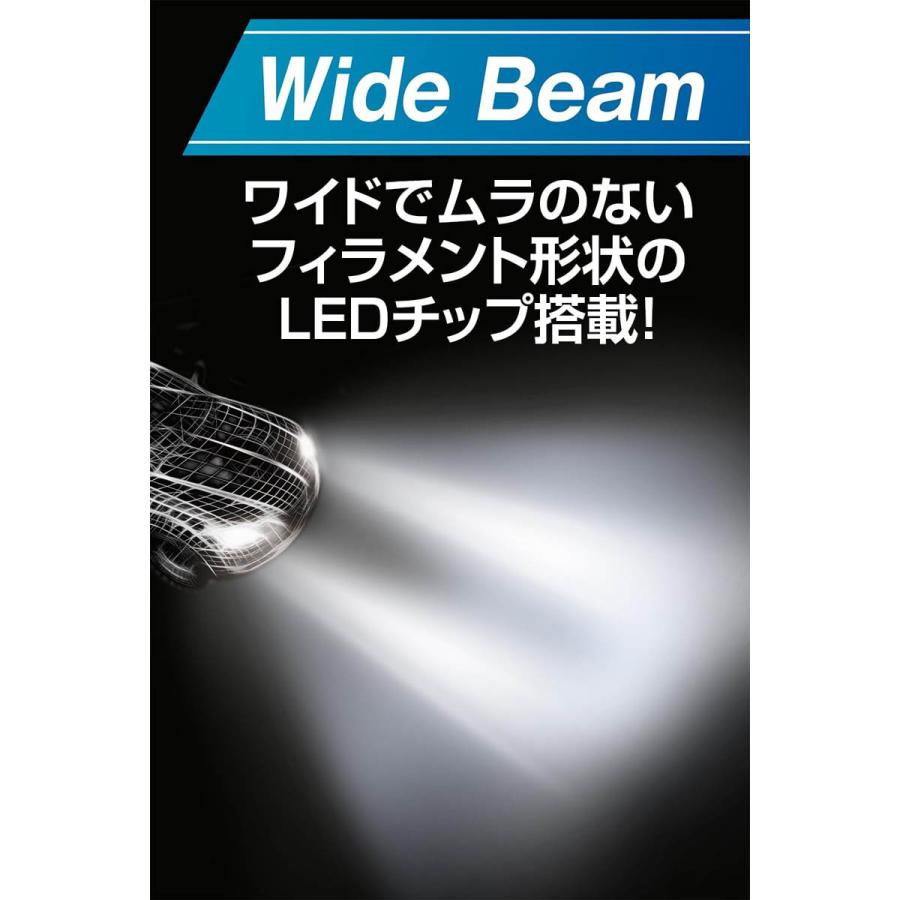 PIAA LEH261 ヘッド＆フォグ用 LEDコントローラーレスバルブ HB3