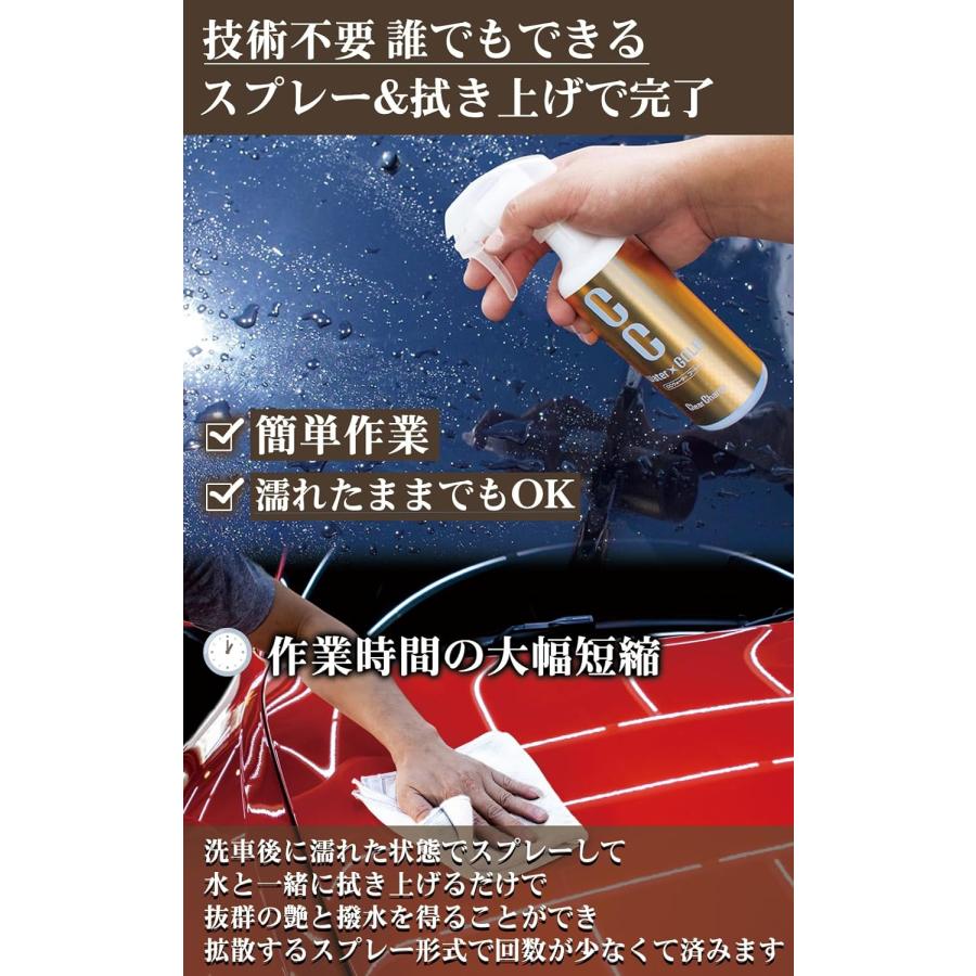 ProStaff（プロスタッフ） コーティング剤 S234 CCウォーターゴールド