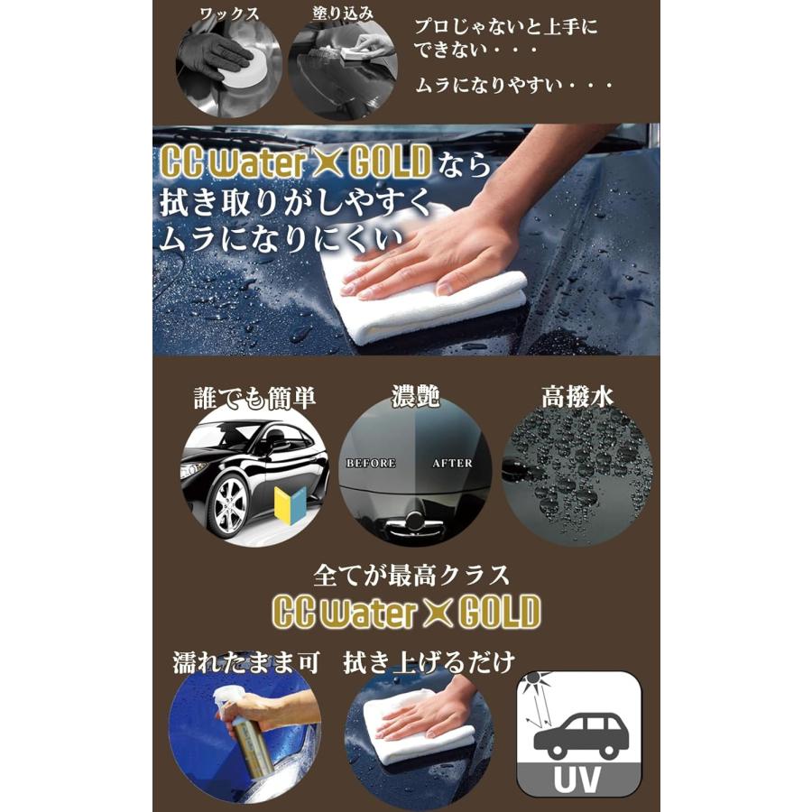 ProStaff（プロスタッフ） コーティング剤 S234 CCウォーターゴールド