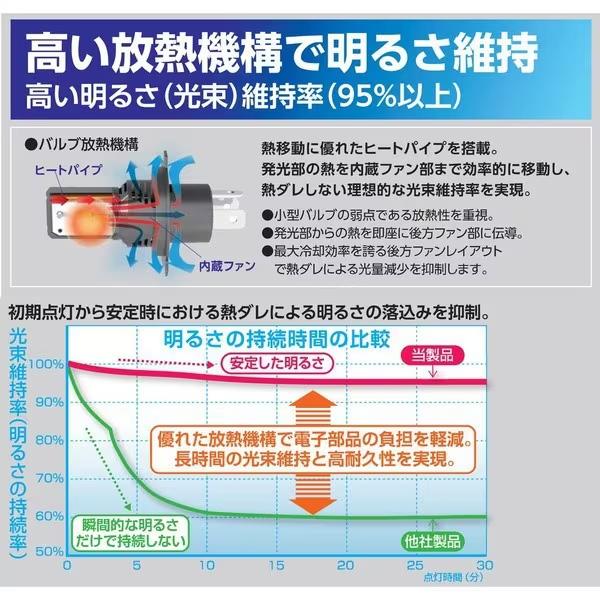 RACING GEAR RG レーシングギア パワーLED ヘッド＆フォグ RGH