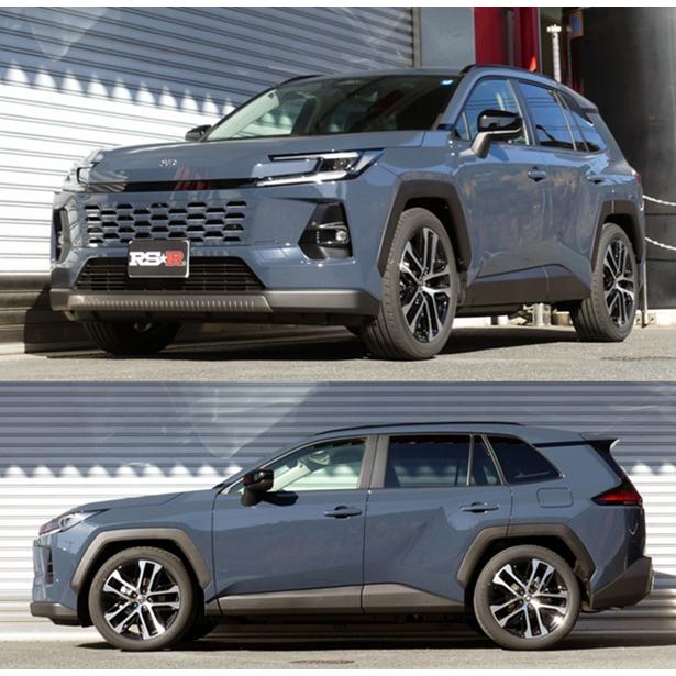 RSR RS-R ローダウンサスペンション T052D RAV4 AXAN64 適合