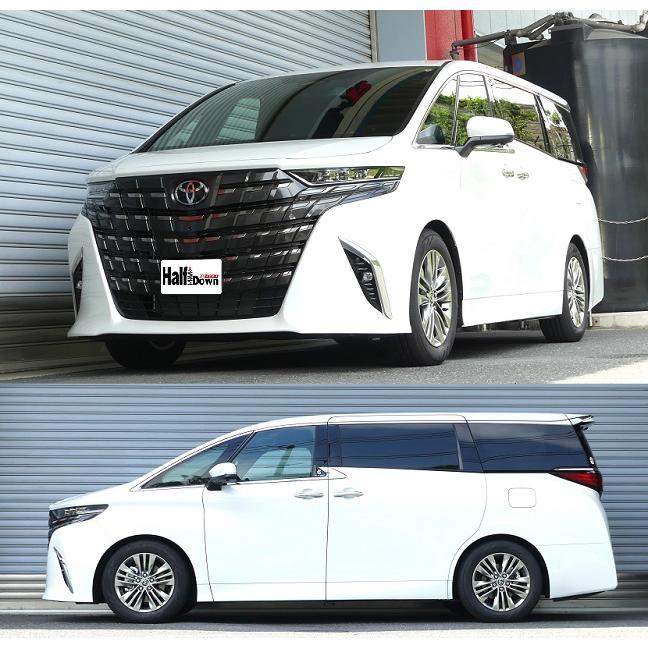 RSR RS-R Ti2000 ハーフダウンサスペンション T920THD トヨタ AGH40W