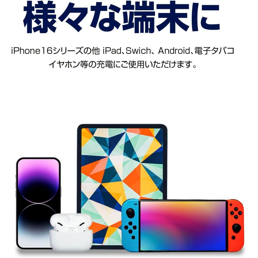 SEIWA（セイワ） SEIWA 2台同時充電 ソケット USBケーブル Type-C Type