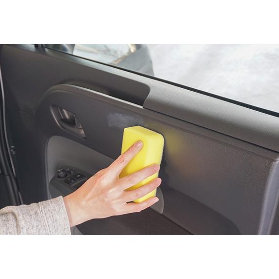 ソフト99 ルームピア シボエグゼブラシ 02194 車内用 スポンジ ブラシ