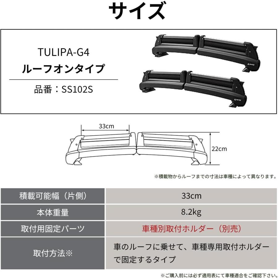 TERZO テルッツォ SS102S スキースノーボード専用キャリア チュリパG4