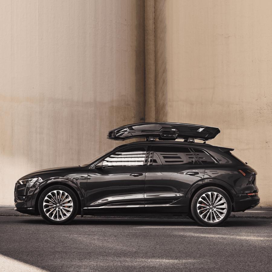 THULE（スーリー） THULE Vector Alpine チタンマット TH6135 ベクター 