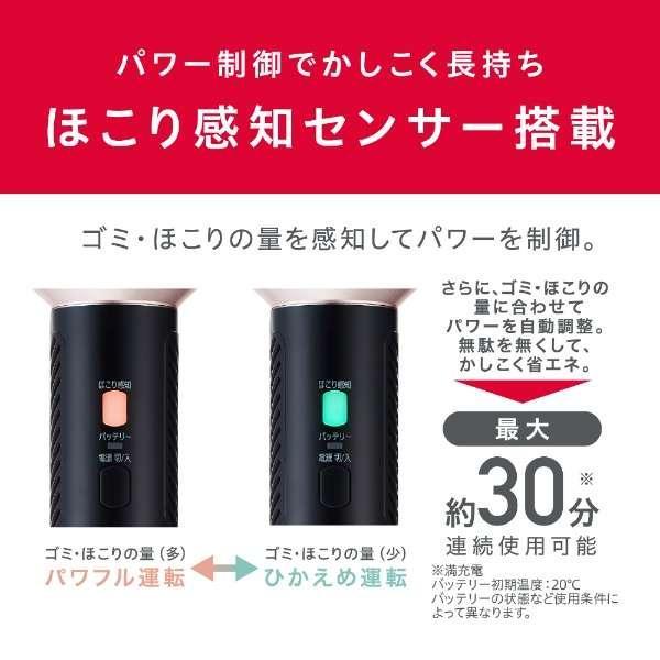 IRIS OHYAMA アイリスオーヤマ スティッククリーナー 掃除機