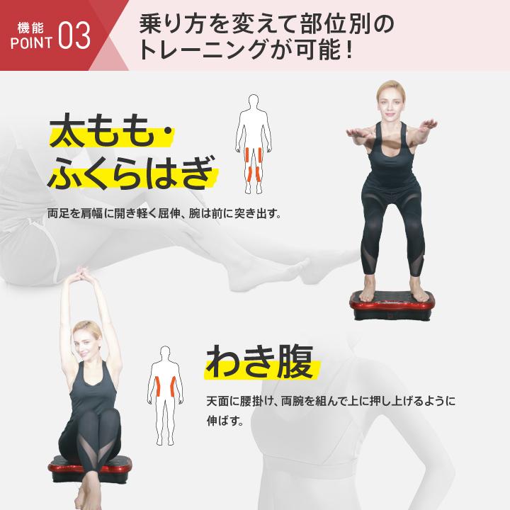 振動マシン ブルブル コンパクト 乗るだけ 簡単 二の腕 体幹