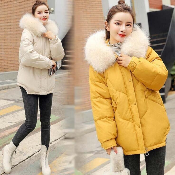 販促ツール ダウンコート レディース ショートコート 人気 防寒着 フード付き フェイクファー 中綿コート 冬アウター ダウンジャケット綿 大きいサイズ 秋服 冬服 可愛い 産地直送 Www Superavila Com