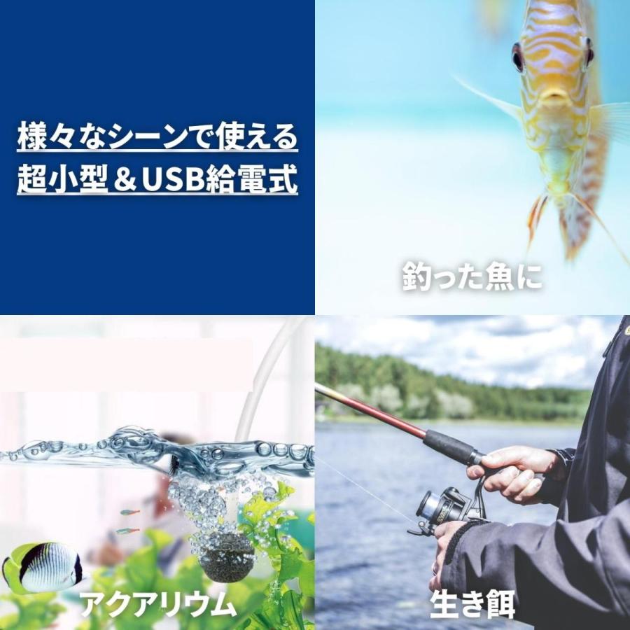 エアーポンプ 黒 水槽 持ち運び Usb エアレーション 魚 小型