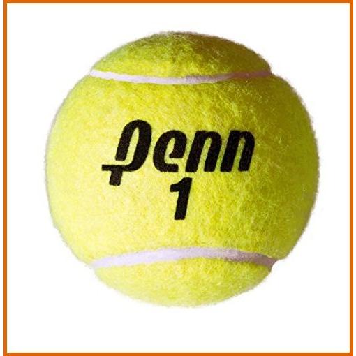 100 本物保証 テニス Penn Jumbo 10インチ 空気注入式大型テニスボール 特売 Cepici Gouv Ci