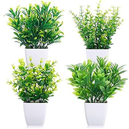 海外最新 送料無料 Cewor 人工ミニ鉢植え植物 4個パック ユーカリ プラスチックポット センターピース ホームオフィス デスク テーブル 室内装飾 Nb08rmqg8npy Crescent Shop 通販 Yahoo ショッピング 値引きする Mobile Scotturb Com