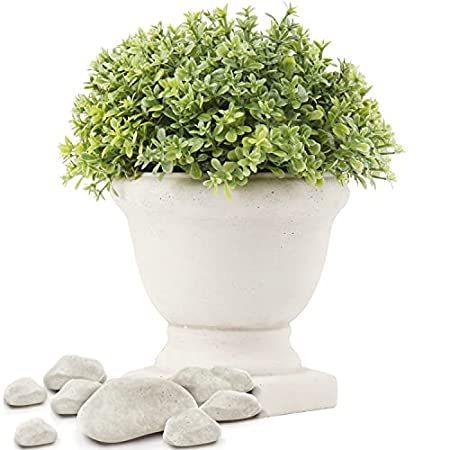 日本産 送料無料 人工鉢植え ミニフェイクプラント 小さな植物 鉢植え 人工ローズマリーグリーンプラント セメントポット付き 室内装飾 オフィス デスクシェルフ テーブ Nb08t68pbz6y Crescent Shop 通販 Yahoo ショッピング 最先端 Www Maxipiso Com Ar