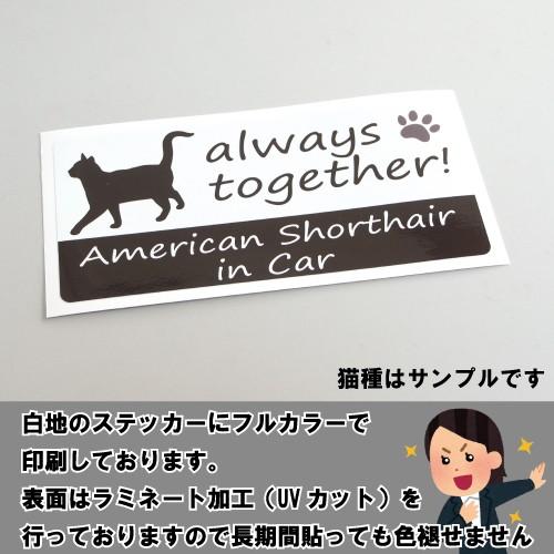 ベンガル Bengal In Car ステッカー プリントタイプ Cat In Car キャット インカー 猫 シール デカール Catincar05 ステッカーショップ クレセント 通販 Yahoo ショッピング