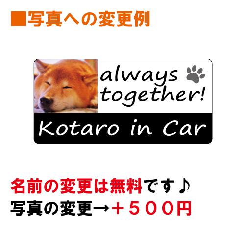 パピヨン papillon in Car ステッカー プリントタイプ dog in car ドッグ インカー 犬 シール デカール｜crescent-ss｜04