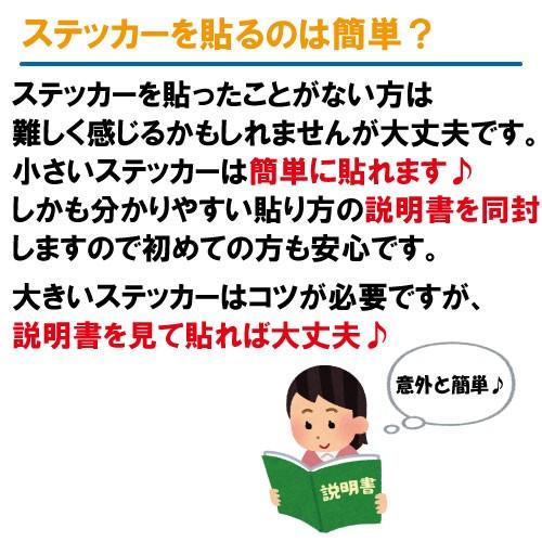 FTO 給油口ステッカー Bタイプ 全26色 フューエル シール デカール fuel ワーニング 注意書き｜crescent-ss｜10