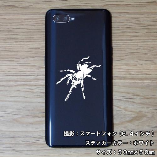 スパイダー ステッカー 01 全26色 5サイズ クモ くも 蜘蛛 傷隠し