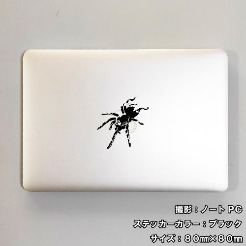 スパイダー ステッカー 01 全26色 5サイズ クモ くも 蜘蛛 傷隠し