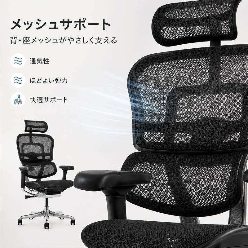 エルゴヒューマン（Ergohuman） エルゴヒューマンプロ2ハイタイプ EHP2