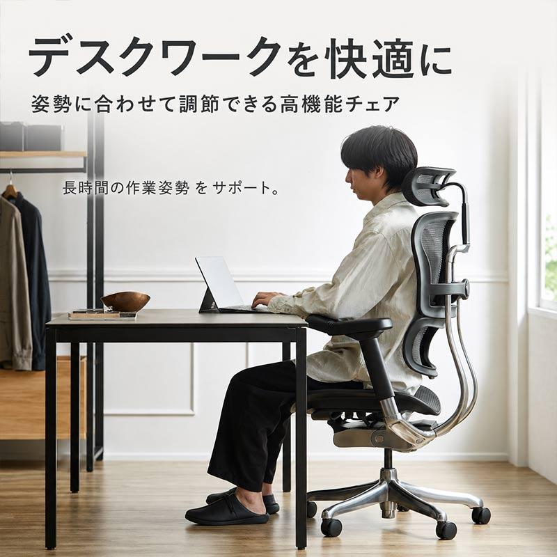 エルゴヒューマン（Ergohuman） エルゴヒューマンプロ2ハイタイプ EHP2