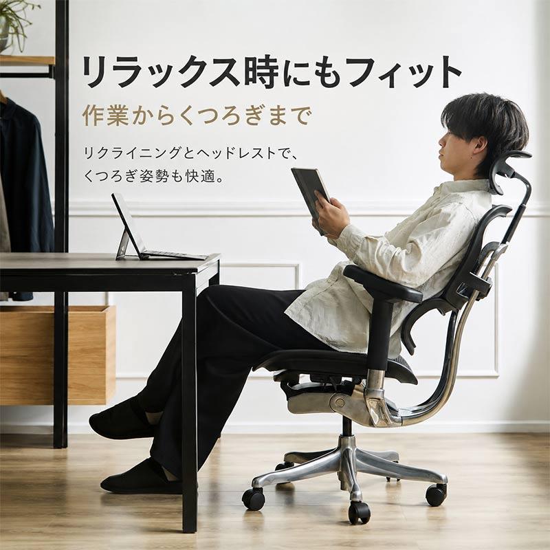 エルゴヒューマン（Ergohuman） エルゴヒューマンプロ2ハイタイプ EHP2