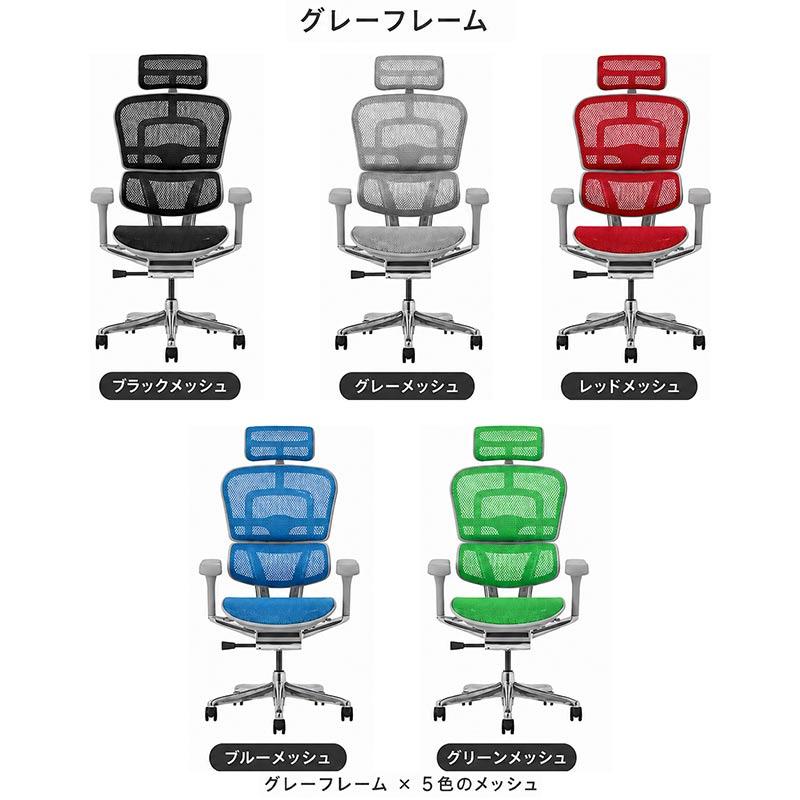 エルゴヒューマン（Ergohuman） エルゴヒューマンプロ2ハイタイプ EHP2